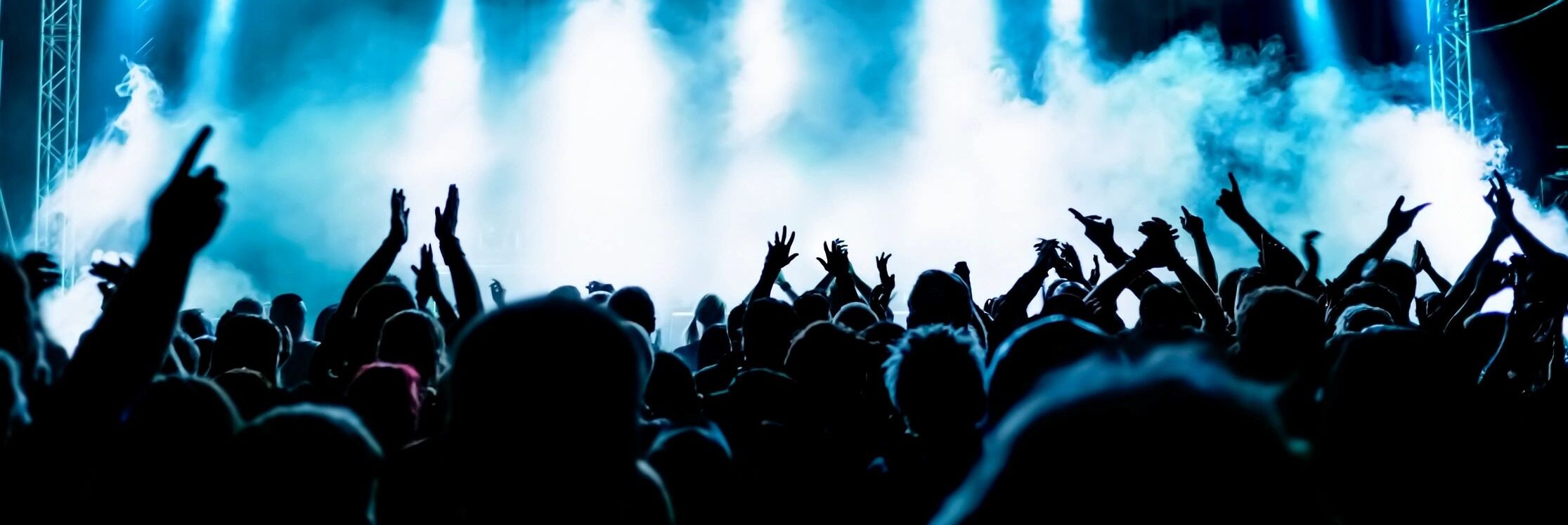 wide angle crowd shot of a live music event